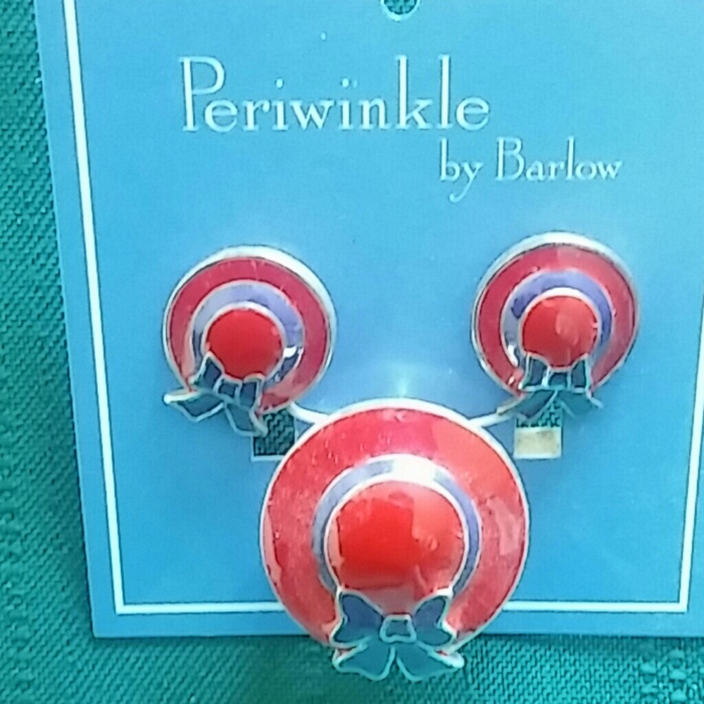 Earrings/pin